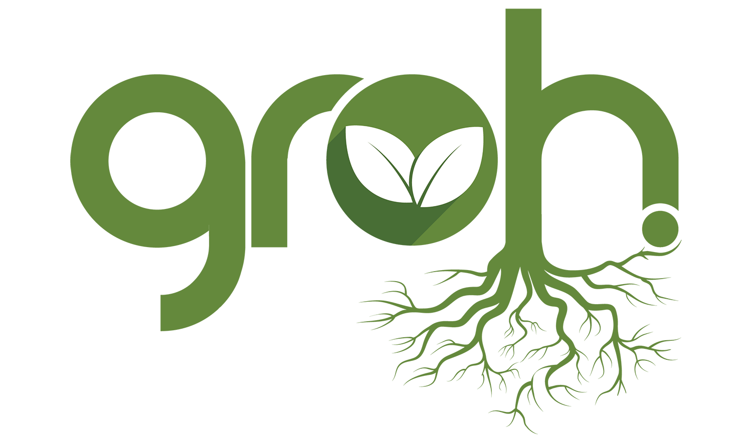 Groh Logo-01